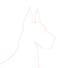 daneworldhub.com